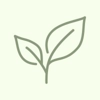 WhatsApp Image 2026-03-04 at 17.17.05 (1)