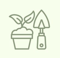 Dārzam, Audzēšanai, Ievākšanai