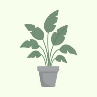 WhatsApp Image 2026-03-05 at 13.16.52 (2)