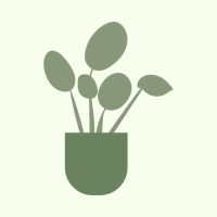 WhatsApp Image 2026-03-05 at 13.16.52