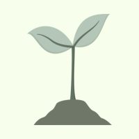 WhatsApp Image 2026-03-05 at 13.16.53