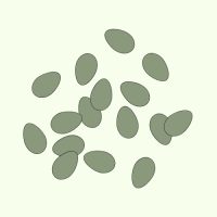 WhatsApp Image 2026-03-05 at 13.16.59