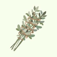 WhatsApp Image 2026-03-05 at 14.49.04