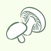 WhatsApp Image 2026-03-05 at 15.00.33 (3)