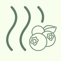 WhatsApp Image 2026-03-05 at 15.46.09 (4)