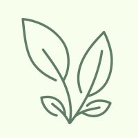 WhatsApp Image 2026-03-05 at 16.45.49 (1)